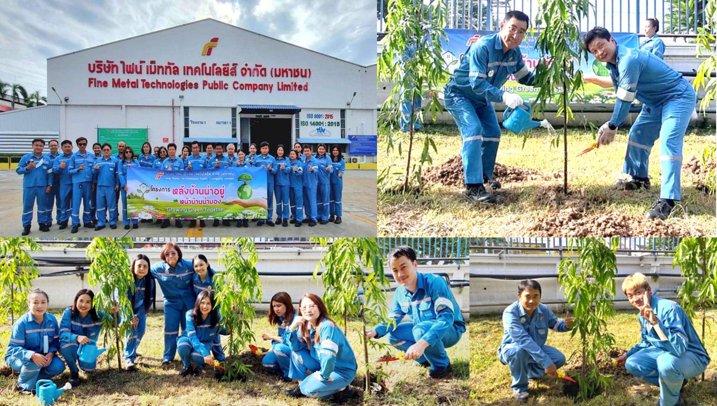 03 Growing Green Together